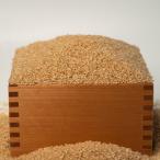 ¸¼ÊÆ ¸ºÇÀÌô ¸º²½³ØÈîÎÁ ¤Ò¤È¤á¤Ü¤ì ´ä¼ê»º 1kg ¡Ê30kg¤Þ¤ÇºÊñ²Ä¡Ë