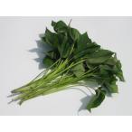  батат . восток рассада 10шт.