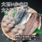Yahoo! Yahoo!ショッピング(ヤフー ショッピング)伊東 貴重で珍味な大玉いかの口（めぼう）と大きくて脂の乗ったとろあじのセット トロ鯵 いかとんび イカの口 お取り寄せ 伊豆  干物 ひもの いかトンビ