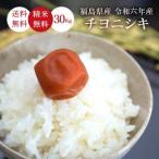 令和6年 お米 30kg 福島県産 チヨニシキ 無洗米 送料無料 精米