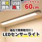  человек чувство сенсор свет салон LED подножное освещение автоматика Akira . сенсор заряжающийся магнит вход . внизу закрытый беспроводной большой длинный размер 60cm