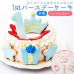 1歳 誕生日 お祝い ケーキ ファ ーストバースデーケーキ 5号 ア イシングクッキー付 スマッシュ ケーキ 飾り お祝い プレゼント 送料無料