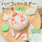 ハーフバースデー ケーキ 4号 アイシングクッキー お祝い デコレーション 飾り付け 赤ちゃん ベビー プレゼント