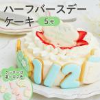 ハーフバースデー ケーキ 5号  アイシングクッキー お祝い デコレーション 飾り付け 赤ちゃん ベビー プレゼント