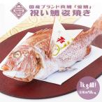 お食い初め 国産ブランド真鯛 愛鯛 祝い鯛姿焼き 1.5kg 単品 レンジ解凍OK 送料無料