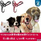 ヘッドカラー (0号) マズル 犬用 しつけ 首輪 引っ張り防止 Halti (ハルティー)