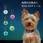 NITE IZE ナイトアイズ 光る 首輪 犬用 チャーム LED 夜間 お散歩 暗闇 電池交換式 チャーム ペンダント 安全 散歩 ピンク グリーン ブルー クリスタル