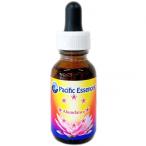 アバンダンスエッセンス パシフィックエッセンス フラワーエッセンス フラワーレメディー 25ml