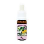 RQ7[RQ7]#40korutePHI essence цветок essence цветок remeti-(15ml)