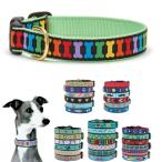 犬用 首輪 痛くない ワンタッチバックル アップカントリー [レインボーン] おしゃれ 可愛い ブランド かわいい 軽い 丈夫 中型犬 大型犬 ギフト プレゼント