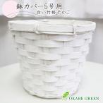  декоративное растение модный горшок покрытие 5 номер для белый бамбук горшок покрытие PP подкладка есть модный подарок интерьер ваза для цветов подарок .. подарок популярный бесплатная доставка 