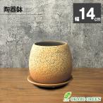  декоративное растение горшок 3.5 номер модный керамика горшок Brown orange дизайн керамика блюдце есть растение в горшке цветочный горшок популярный праздник день рождения интерьер смешанные товары бесплатная доставка 