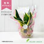 有料ラッピングサービス ３〜４号鉢用 ミニ ラッピング 包装 贈り物 誕生日 ギフト プレゼント 包装 御祝 お祝い オプション