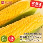 とうもろこしゴールドラッシュ 北海道産トウモロコシ朝採れ直送(2Lサイズ×10本セット)