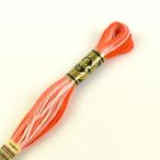 .... материал DMC вышивальные нитки 25 номер градация цвет номер 106 06Bg99_