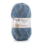 ショッピング毛糸 毛糸 Opal-オパール- ビューティー4 4ply/4本撚り 11401.景色 (M)_b1j