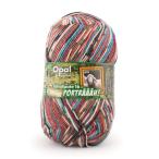 ショッピング毛糸 毛糸 Opal-オパール- シャーフパーテ16 4ply/4本撚り 11450.ロッテ 06Co99j