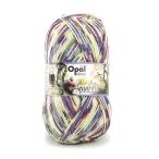 毛糸 毛糸 Opal-オパール- 水彩画 4ply/4本撚り 11533.鳥と森 06Co99j