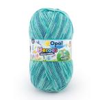 毛糸 Opal-オパール- ヒーローズ 4ply/4本撚り 11542.ニナ 06Co99j