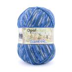 ショッピング毛糸 毛糸 Opal-オパール- フレンドシップ 6ply/6本撚り 11562.演奏しよう 06Co99j