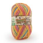 ショッピング毛糸 毛糸 Opal-オパール- シャーフパーテ17 4ply/4本撚り 11597.群生 06Co99j