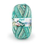 毛糸 Opal-オパール- レーゲンヴァルト21 4ply/4本撚り 11600.コキンチョウ 06Co99j