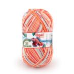 ショッピング毛糸 毛糸 Opal-オパール- レーゲンヴァルト21 4ply/4本撚り 11603.ライオンフィッシュ 06Co99j
