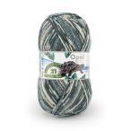 ショッピング毛糸 毛糸 Opal-オパール- レーゲンヴァルト21 4ply/4本撚り 11604.ハミルトンガメ 06Co99j