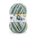  шерсть Opal- опал - подлинный ночь средний. сон 4ply/4шт.@ кручение 11643. носорог. сон 06Co99j