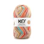 毛糸 Opal-オパール- KFS オスカーたちのクローゼット 4ply/4本撚り KFS283.読書タイム 06Co99j