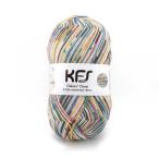 毛糸 Opal-オパール- KFS オスカーたちのクローゼット 4ply/4本撚り KFS284.スケボー練習 06Co99j