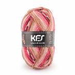 毛糸 Opal-オパール- KFS シャーフパーテ 6ply/6本撚り ぽっちゃり君 KFS312.チリ 06Co99j