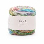 ショッピング毛糸 毛糸 Rosarios4-ロザリオス4- Invicta・インヴィクタ 57.Multicolor 06Co99_