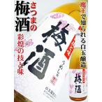 梅酒 さつまの梅酒 1.8Ｌ 魔王の蔵元 白玉醸造