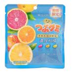2個セット 春日井 つぶグミ PREMIUM 濃