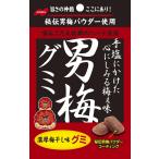 ノーベル製菓 男梅グミ 41g×6個