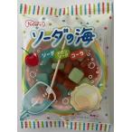 共親製菓 ソーダの海 20g×24個