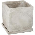  рисовое поле средний керамика посадочная машина CEM18