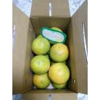 バレンシアオレンジ　２ｋｇ　珍しい国産オレンジ♪　サイズ混合（11-15個前後入り）　[送料無料(一部地域除く)]