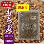 ショッピングもち麦 【訳あり】もち麦 ダイシモチ (950g×5袋) 岡山県産 お買い得パック