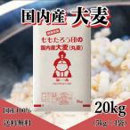 大麦 (丸麦) 国内産 20kg (5kg×4袋) 送料無料