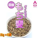 ダイシモチ 令和5年産 もち麦 10kg (2kg×5袋)