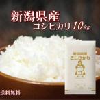 29年新潟県産こしひかり10kg【5kg×2袋】　