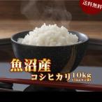 米 お米 10kg 魚沼産コシヒカリ 30年産 (5kg×2袋) 送料無料