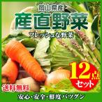 岡山県産 朝穫れ野菜詰め合わせ 12点セット