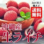 生 ライチ 玉荷包 200g 国産 生ライチ 沖縄産