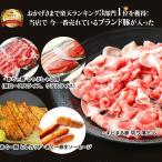 ショッピング訳あり 在庫処分 食品 コロナ 復興 豚 福袋 セット 食品 豚肉 フードロス 【8〜10人前】 お取り寄せ 芸能人 グルメ 肉