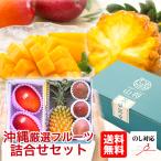  фрукты набор подарок комплект высококлассный Okinawa производство (.-..-)