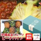 pi-chi сосна ананас Okinawa Ishigakijima ананас подарок 3 шар комплект ( безопасность с гарантией )