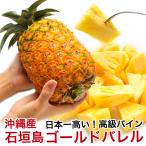 ゴールドバレル パイナップル 沖縄 石垣島産 高級 1.5kg前後 （安心保証付き）